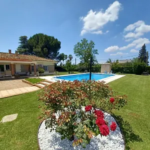 Remanso De Paz Cerca De Sevilla Dreamertu Habitación en casa particular Palomares del Río